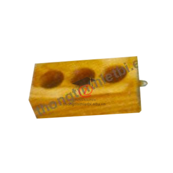 Khối gỗ (CSVL2042)