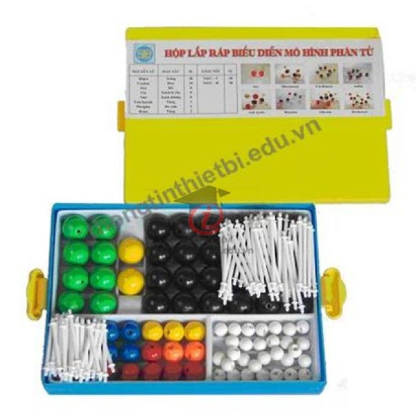 Mô hình phân tử dạng rỗng (CSHH2012)