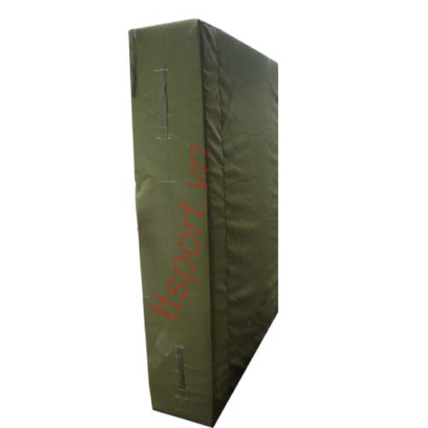 Đệm nhảy cao (CSTD2009)