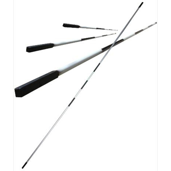 Xà nhảy cao (CSTD2008)