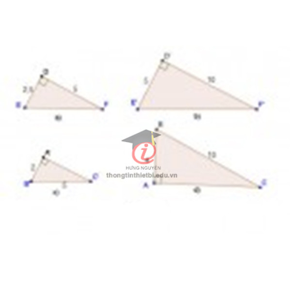 Tam giác đồng dạng (CSTH1003)